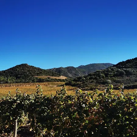 Casa vacanze Villa Patrimonio Patrimonio