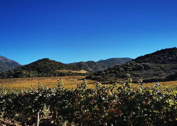 Hébergement de vacances Villa Patrimonio Patrimonio